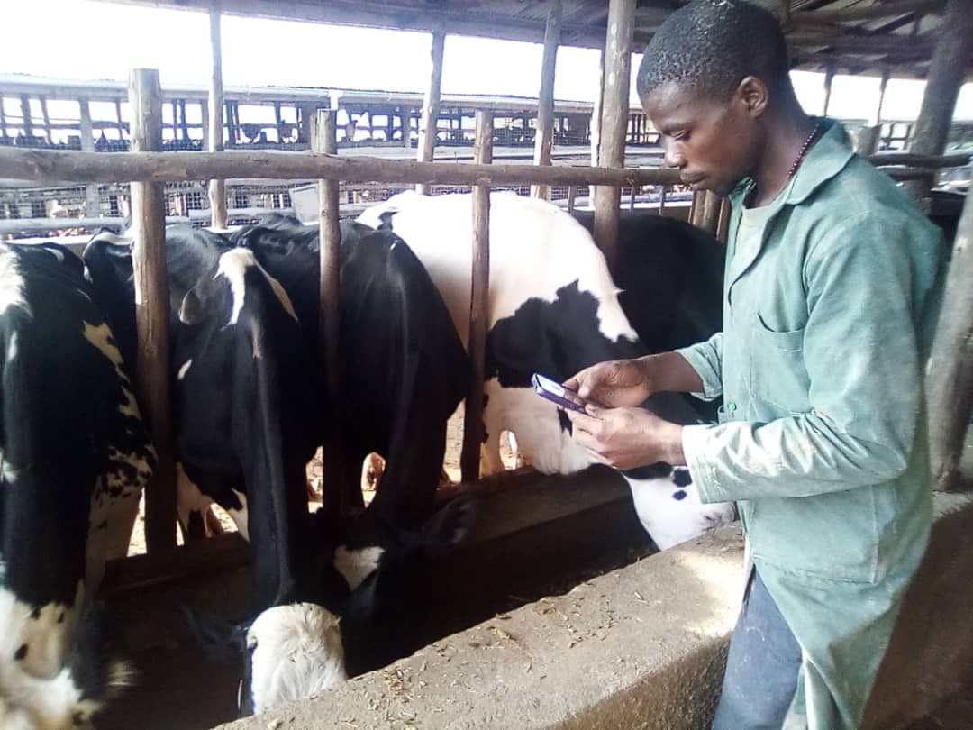 Youth in Agritech Initiative